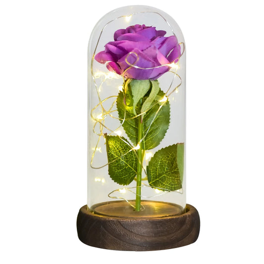 Gifts for Her Beauty and the Beast Eternal Rose in Glass Dome Artificial Forever Flower LED Light Mothers Day Gifts for Women