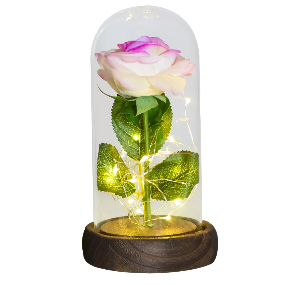 Gifts for Her Beauty and the Beast Eternal Rose in Glass Dome Artificial Forever Flower LED Light Mothers Day Gifts for Women